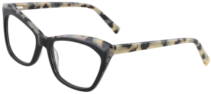 Prescription Glasses Geneva 21215
